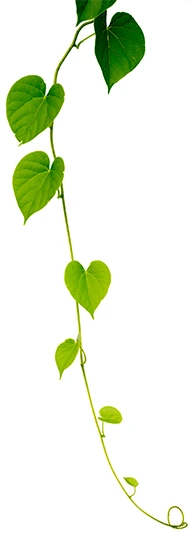 Beneficios de la educación en sostenibilidad