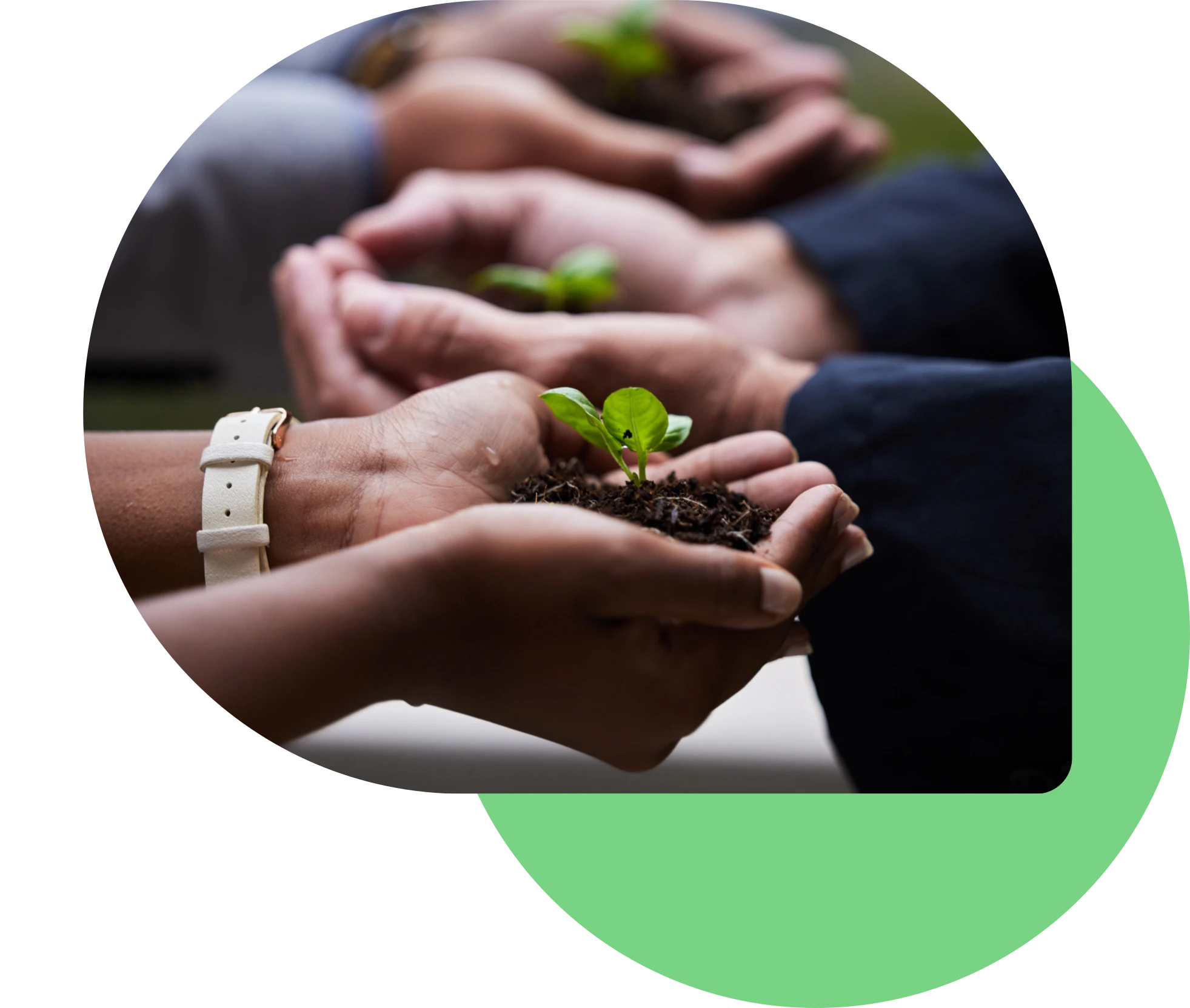 Imagen de quiénes somos